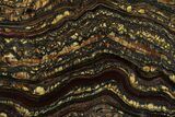 Polished Tiger Iron Stromatolite Slab - Billion Years #351803-1